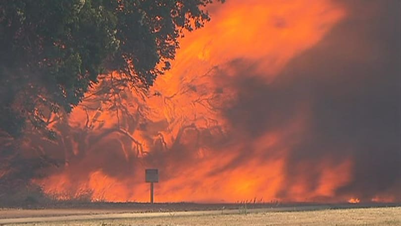 Firefighters battle Forestdaly bushfire through the night