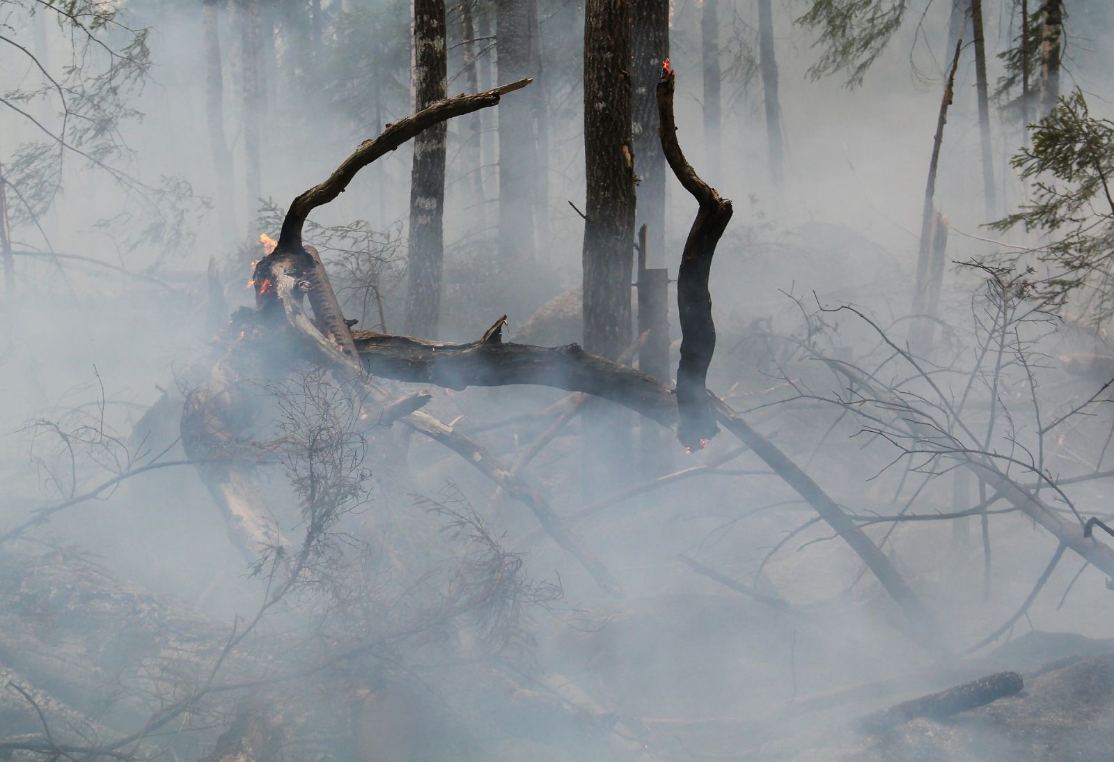 Unusual Pre-Season Forest Fires raise concerns in Norway and Sweden